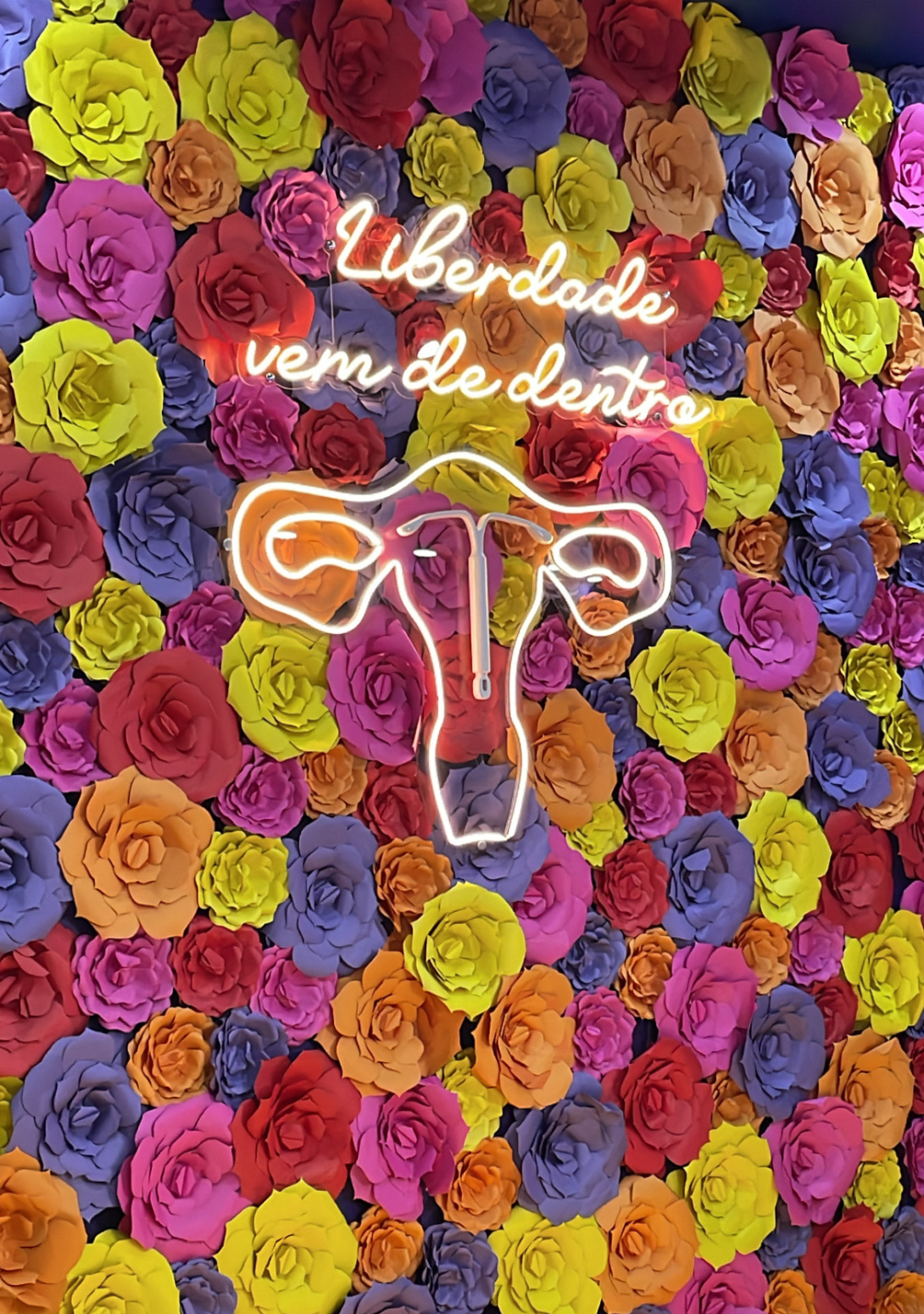 Foto 2 do carrossel da página de Contracepção e Planejamento Gestacional da Dra. Marianne Costa.